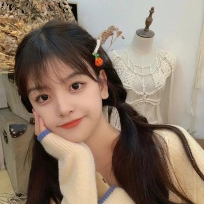 X档案：征服未来国语